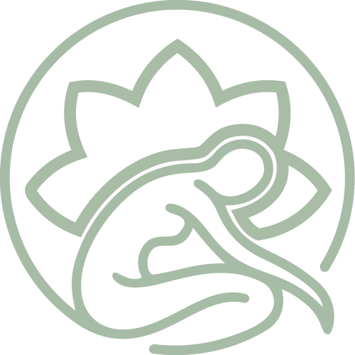 Yin Yoga