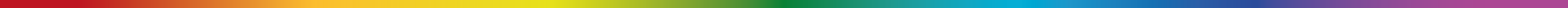 Linea decorativa superiore header